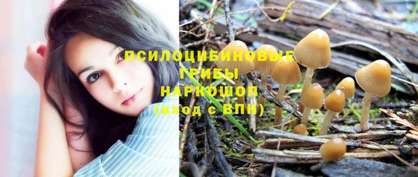 СК Домодедово