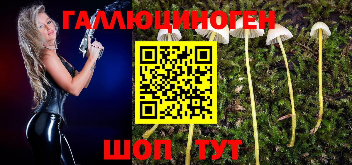 Бутират Губкин