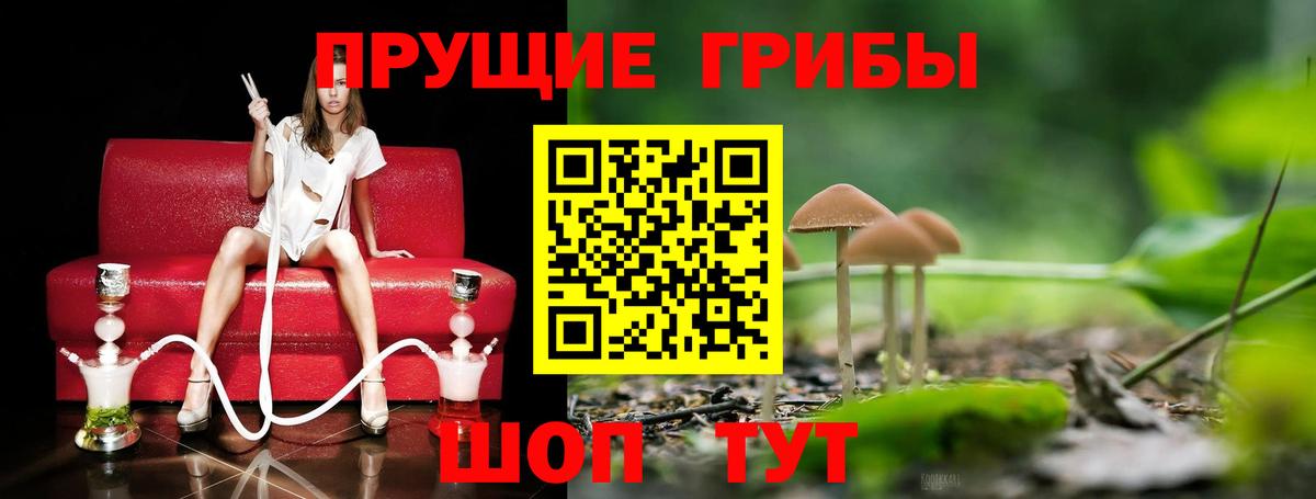 Псилоцибиновые грибы прущие грибы  Вход с VPN  Галлюциногенные грибы Psilocybine cubensis  Губкин 